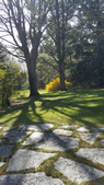 Enlarge photo 26