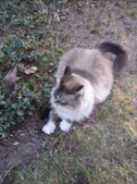 Enlarge photo 7