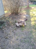 Enlarge photo 8