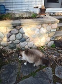 Enlarge photo 19