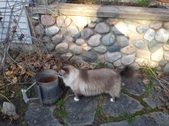 Enlarge photo 20
