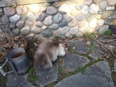 Enlarge photo 21