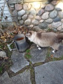 Enlarge photo 24