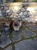 Enlarge photo 25