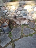 Enlarge photo 26