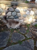 Enlarge photo 27
