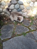 Enlarge photo 29