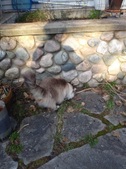 Enlarge photo 28