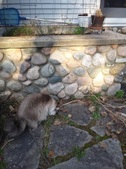 Enlarge photo 30