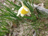 Enlarge photo 21