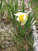 Enlarge photo 22