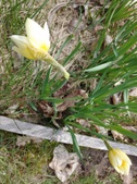 Enlarge photo 24