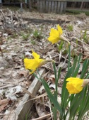 Enlarge photo 26