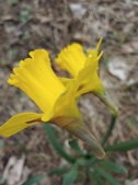 Enlarge photo 27