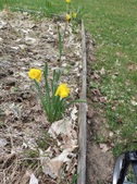 Enlarge photo 28