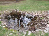 Enlarge photo 29