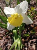 Enlarge photo 6