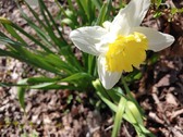 Enlarge photo 8