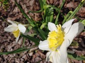 Enlarge photo 10