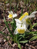 Enlarge photo 12