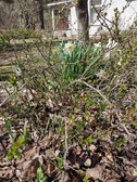 Enlarge photo 13