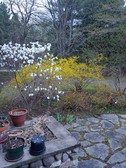 Enlarge photo 23