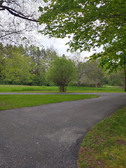 Enlarge photo 29