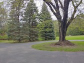 Enlarge photo 30