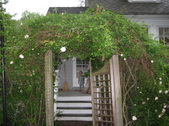 Enlarge photo 11