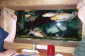 Enlarge photo 16