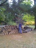 Enlarge photo 5