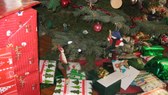 Enlarge photo 5