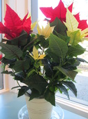 Enlarge photo 26
