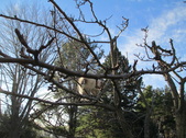 Enlarge photo 29