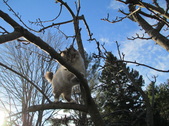 Enlarge photo 30