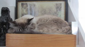 Enlarge photo 7