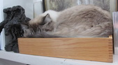 Enlarge photo 8