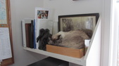 Enlarge photo 12