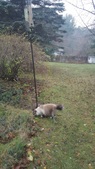 Enlarge photo 24
