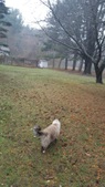 Enlarge photo 25