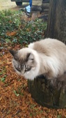 Enlarge photo 29