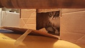 Enlarge photo 29