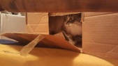 Enlarge photo 30