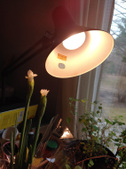 Enlarge photo 15