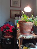 Enlarge photo 17