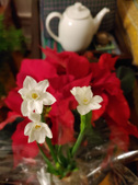 Enlarge photo 22