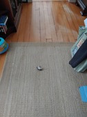 Enlarge photo 7
