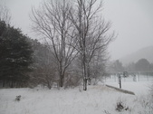 Enlarge photo 25