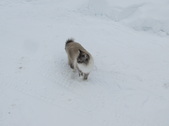 Enlarge photo 19