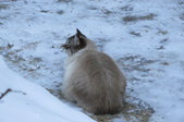 Enlarge photo 13